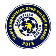 Bahçeşehir Spor’un Apoletini Yıldız Kanaryalar Söktü: 8-1