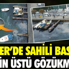 Sarıyer’de Denizanası İstilası