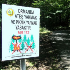 Orman Bölge Müdürü Pir: “Yasaklar yangınları yüzde 70 azalttı’’