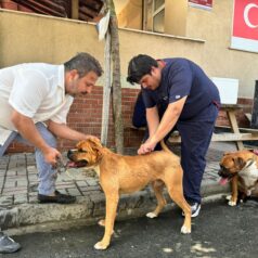 Sarıyer’de Kuduz Aşısı Kampanyası Başladı