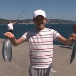 Sarıyer Sahilinde Palamut Bolluğu