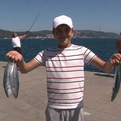 Sarıyer Sahilinde Palamut Bolluğu