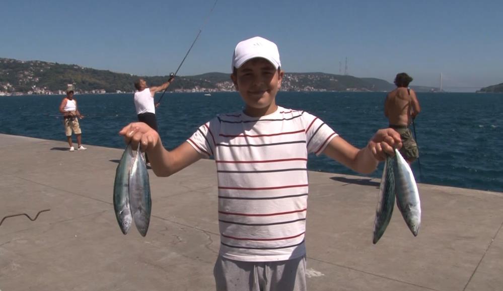 Sarıyer Sahilinde Palamut Bolluğu